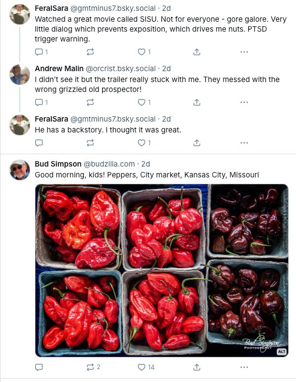 Two posts in a row. The first is FeralSara's recommendation for the movie SISU, in which she warns it features gore galore. Following some replies, we see a photo from Bud Simpson, which is 6 punnets of peppers from the City Market in Kansas City, MO. With the suggestion of gore, the red peppers, at a glance, look like gooey, coiled entrails or something similarly gross.