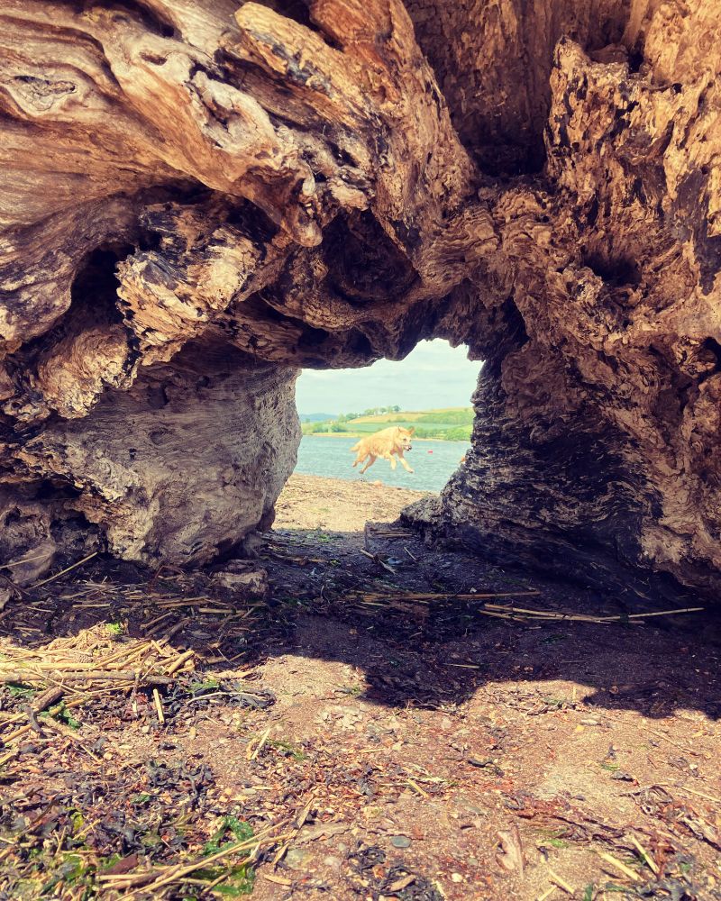 Estuary portal to the Land Of Leaping Dogs