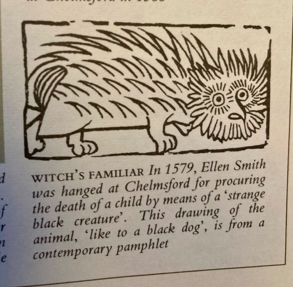 A witch's familiar, from The Reader's Digest Folklore book