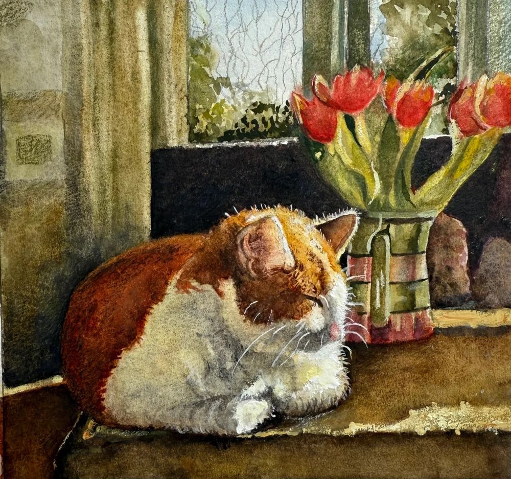 My (and subsequently my mum and dad's) lovely cat George, asleep, in his later days, beside a jug of tulips.