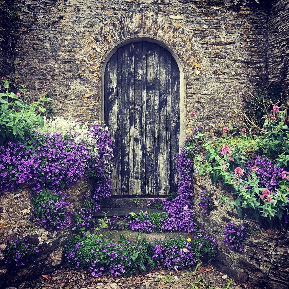 Old wooden door in wall portal