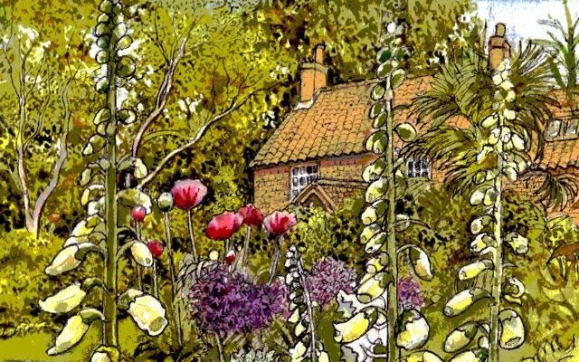 Cottage garden by my dad, Mick.