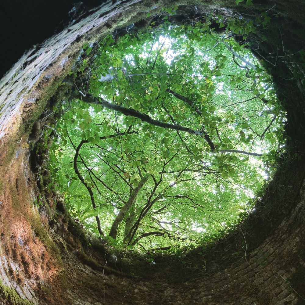 Lime kiln portal