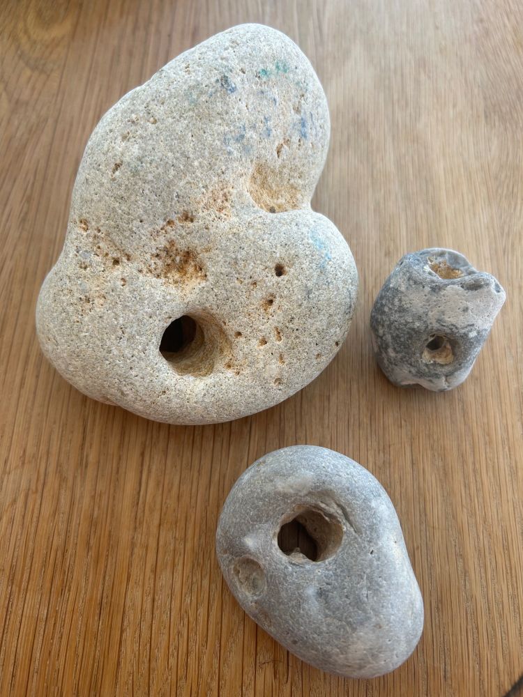 Three hagstones from collection of 30 or so.