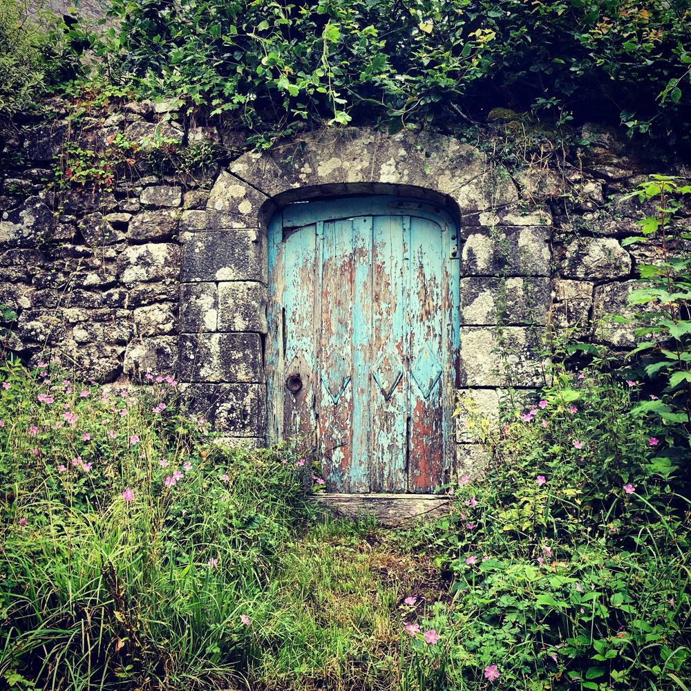 Some dickhead had better not try to paint this great fucked up old door in an even older wall