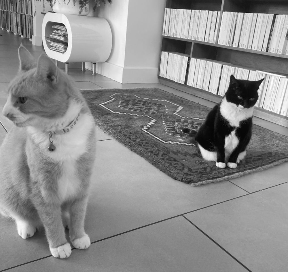 Jim and Roscoe trying to patch things up, in the aftermath of a failed attempt at polyamorous relationships.