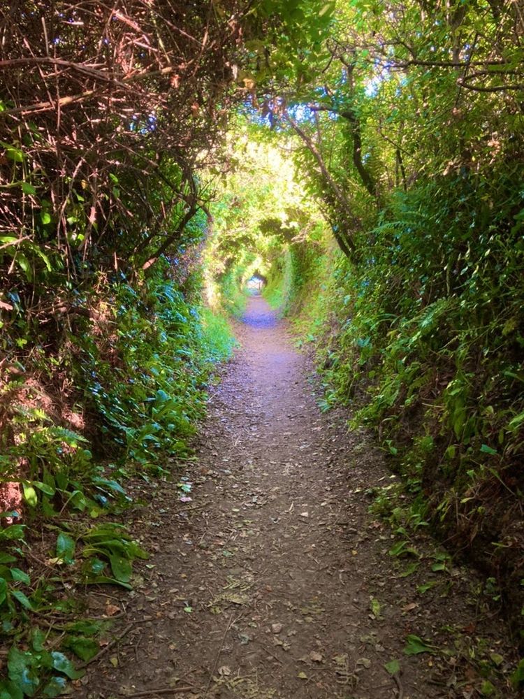 Tunnelled footpath portal.