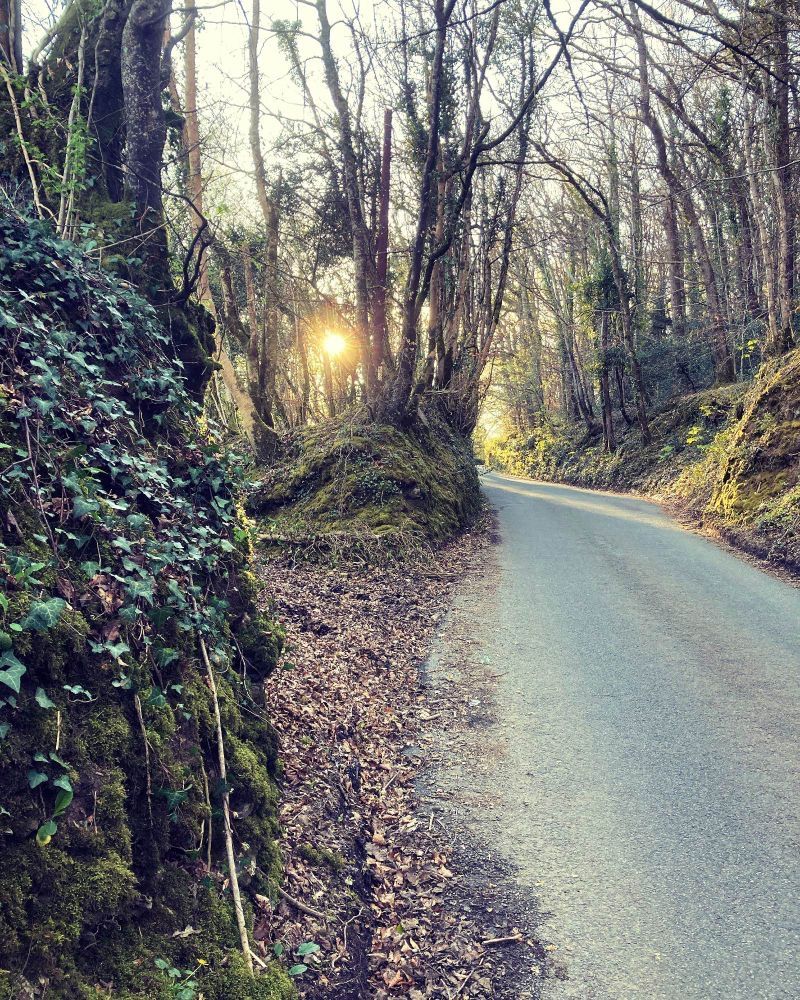 A country lane on Dartmoor at Sunset.