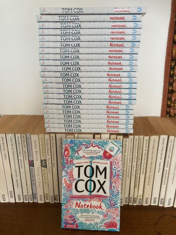 A big pile of Notebook paperbacks.