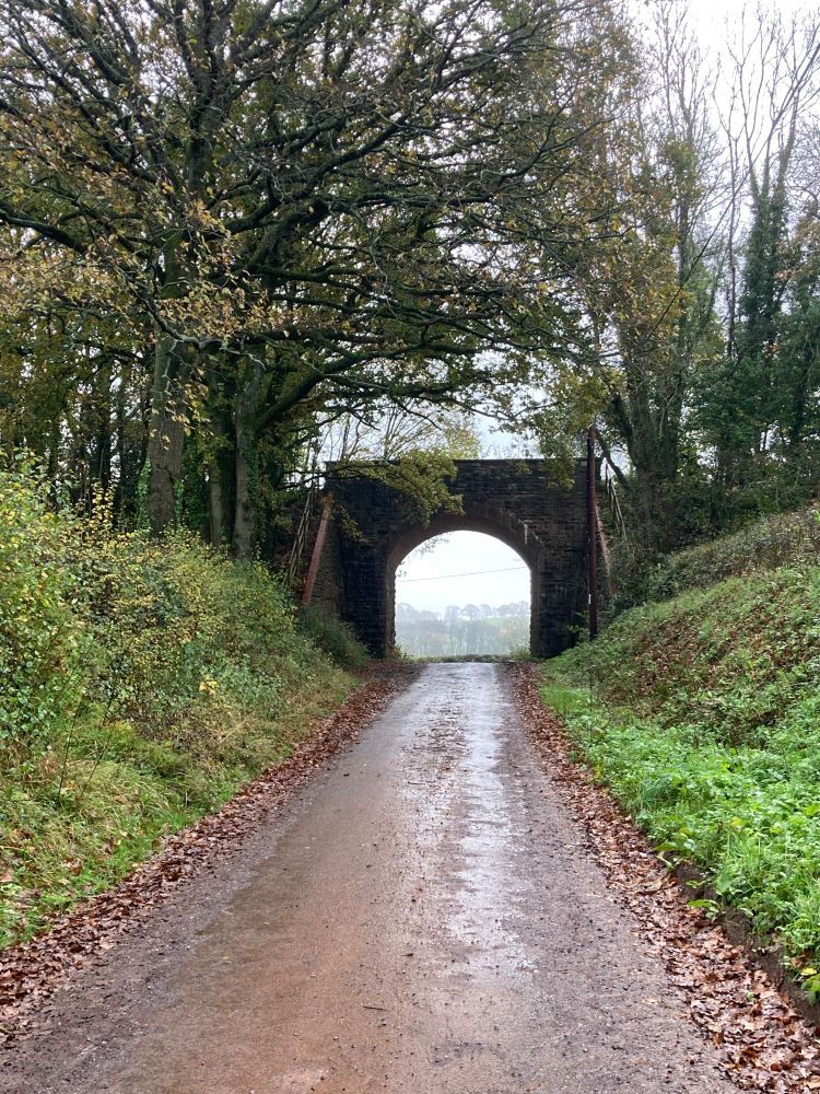 A country lane on the edge of the Quantocks.