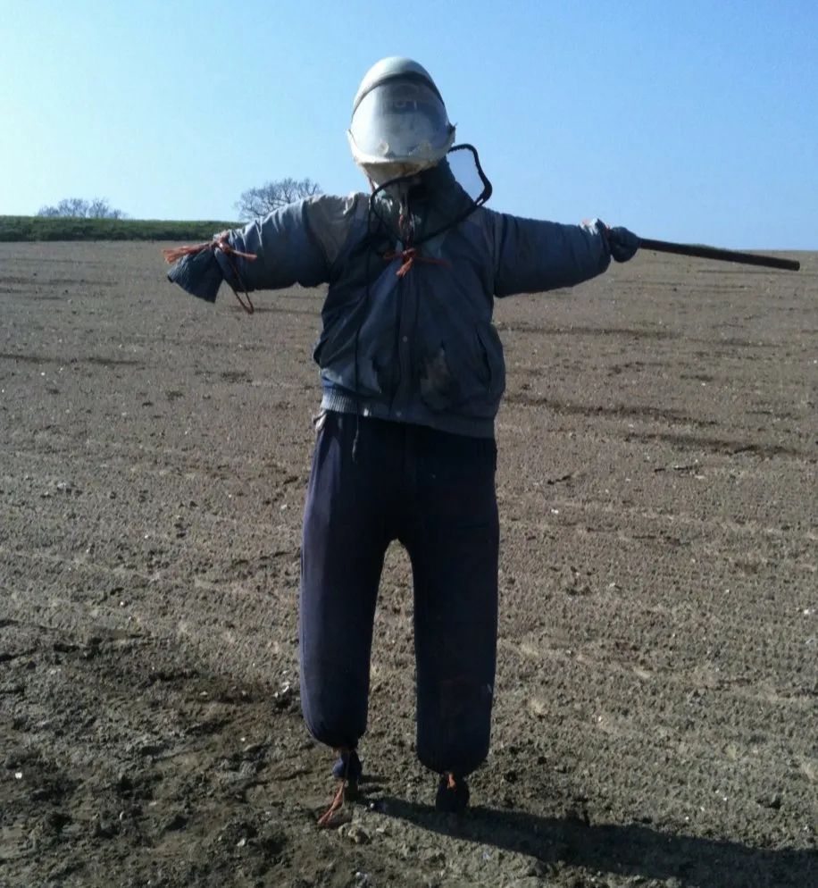 A scarecrow who is feeling pleased with himself after forming a 1950s sci-fi themed surf rock band, of which he is the sole member