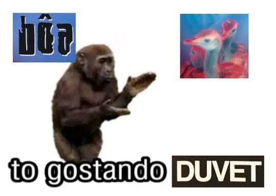macaco aplaudindo em um fundo branco com boa to gostando duvet escrito em volta