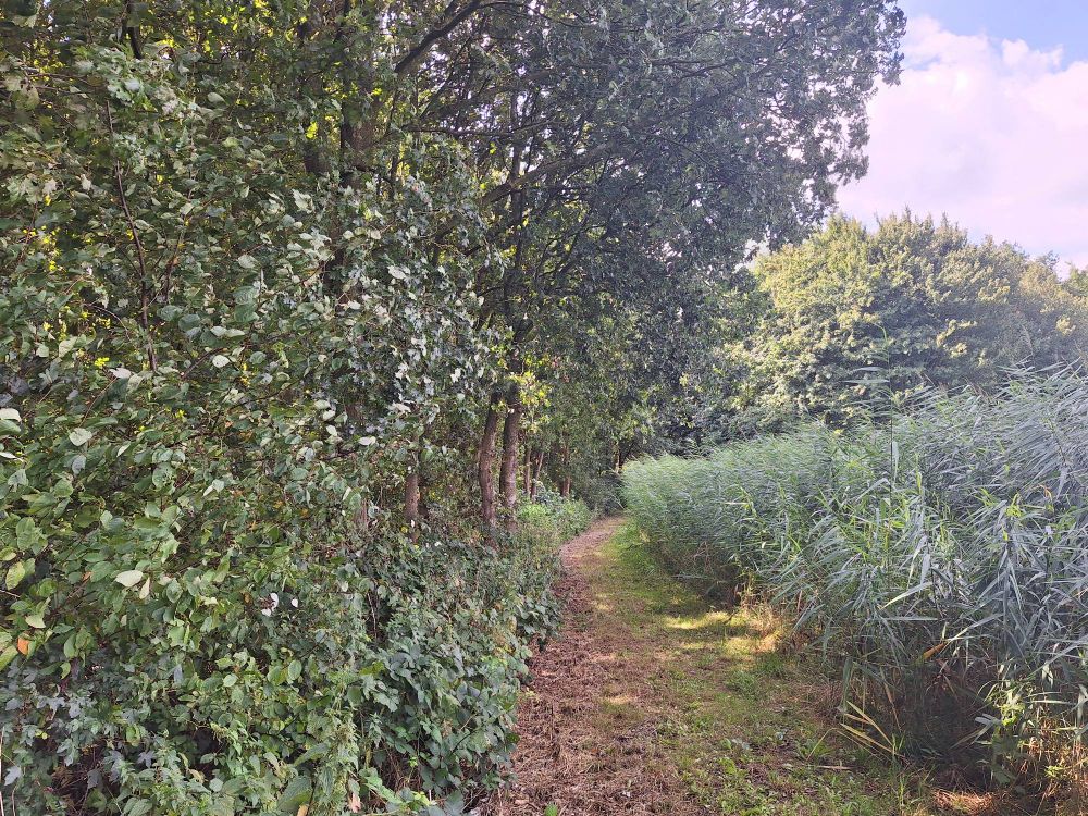 Nooit geweten dat dit kleibos toegankelijk was. Bleek hartstikke leuk te zijn. En gaf toegang tot de Waalbanddijk