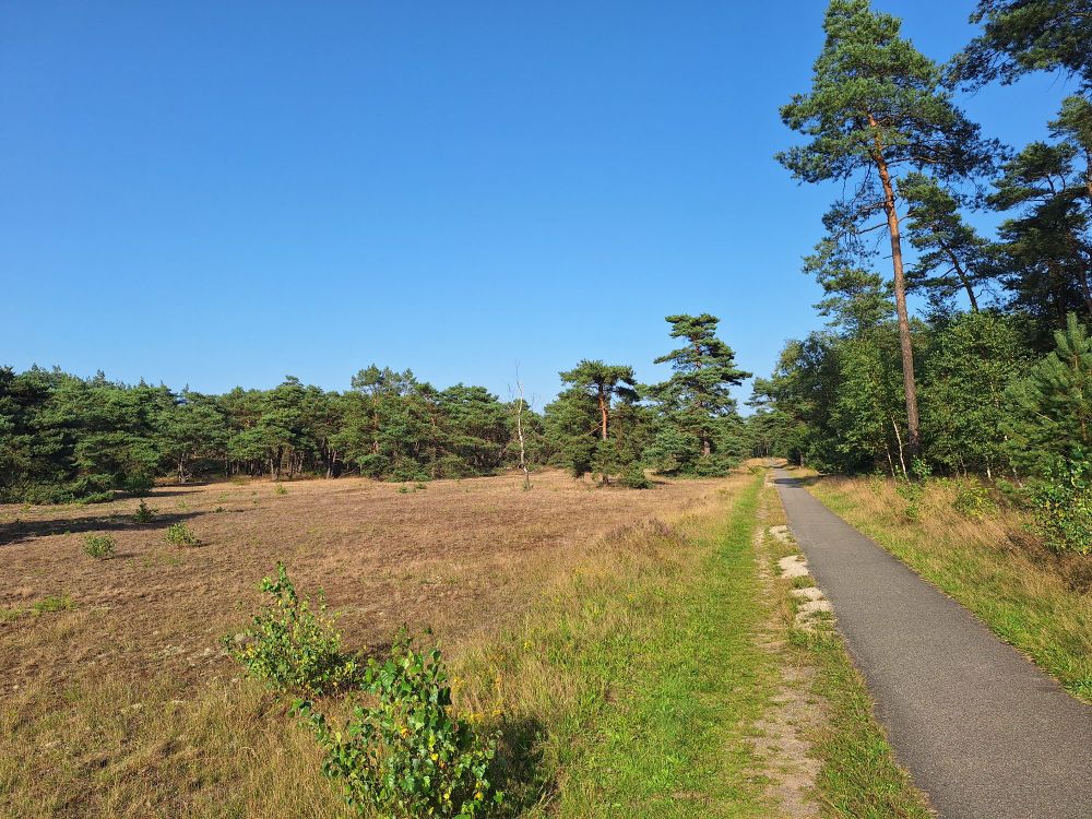 Landschappelijk fraaie beelden