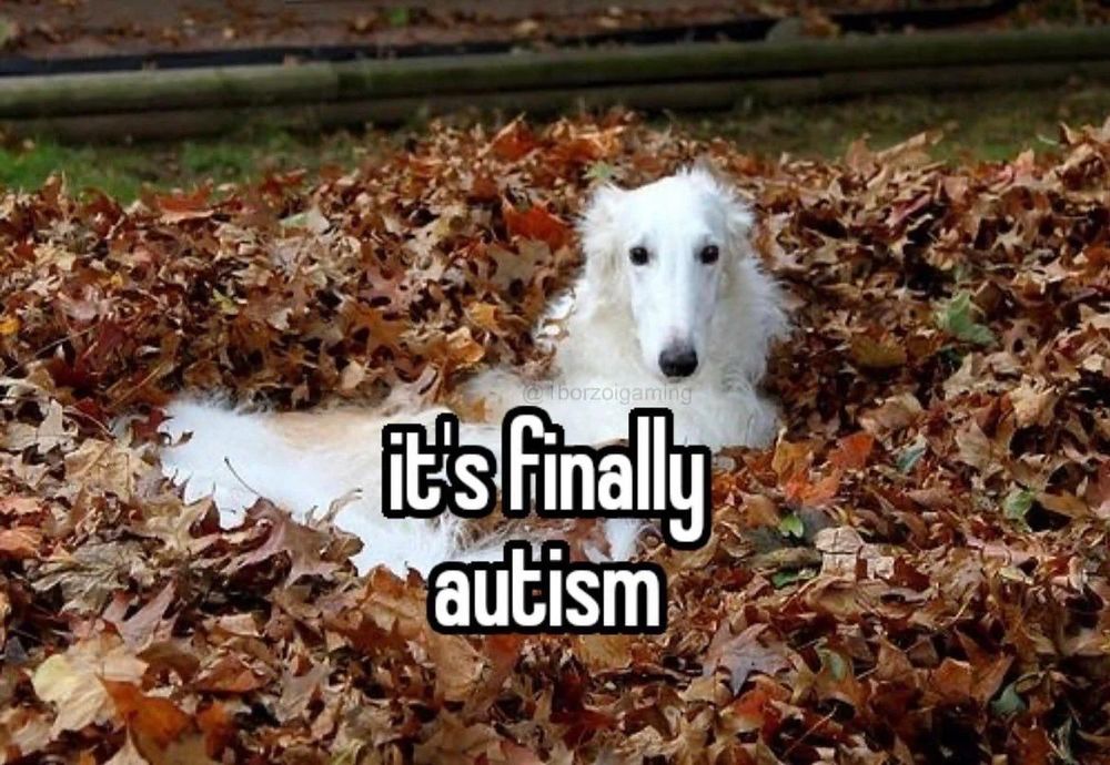 White dog in a pile of autumn leaves, text says "it's finally autism"