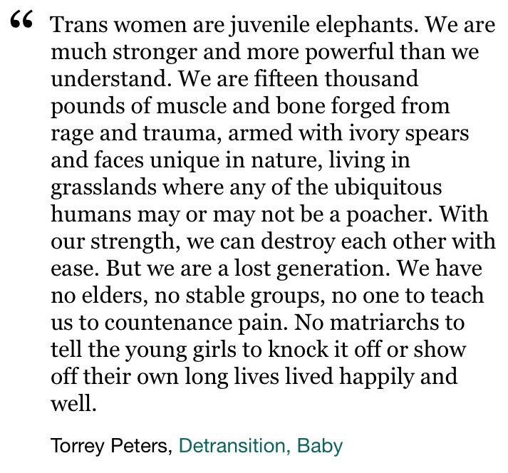 Trans women are juvenile elephants. We are much stronger and more powerful than we understand. We are fifteen thousand pounds of muscle and bone forged from rage and trauma, armed with ivory spears and faces unique in nature, living in grasslands where any of the ubiquitous humans may or may not be a poacher. With our strength, we can destroy each other with ease. But we are a lost generation. We have no elders, no stable groups, no one to teach us to countenance pain. No matriarchs to tell the young girls to knock it off or show off their own long lives lived happily and well.
Torrey Peters, Detransition, Baby