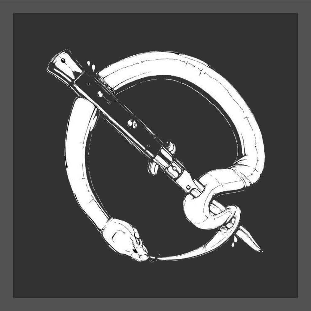 Queens of the Stone Age's logo on a gray background