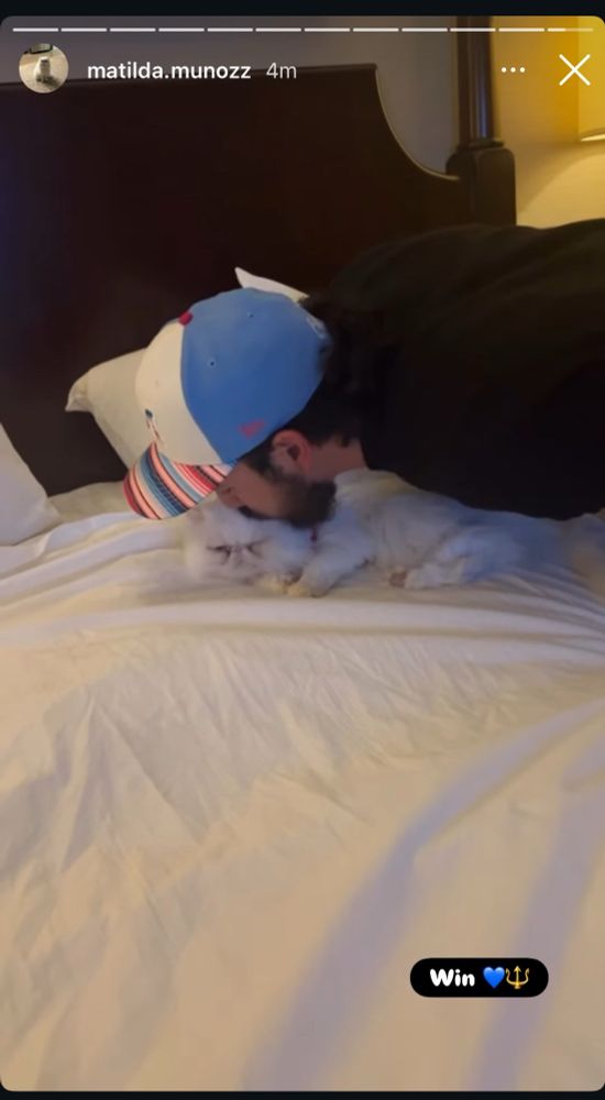 Andres Munoz kissing his white Persian cat, Matilda, while she lies on a hotel bed