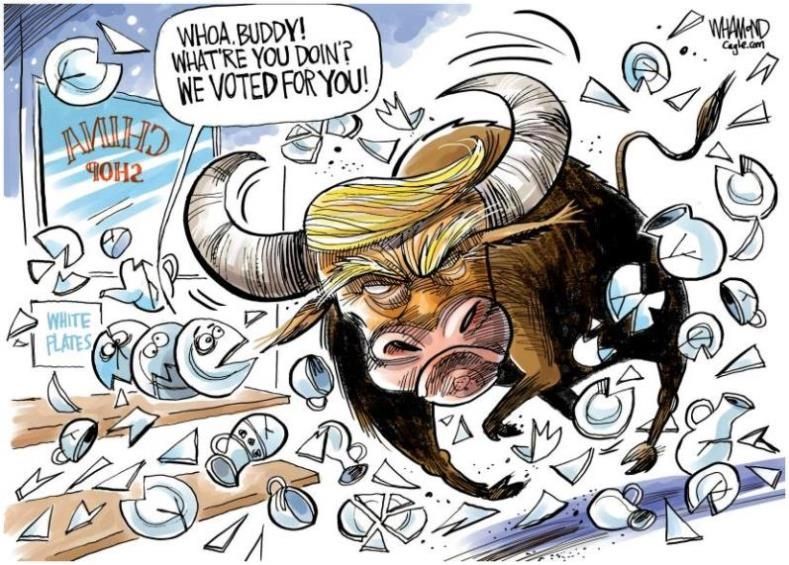 Trump is a bull in a China shop. One of the plates yells whoa buddy, what're you doing? We voted for you!