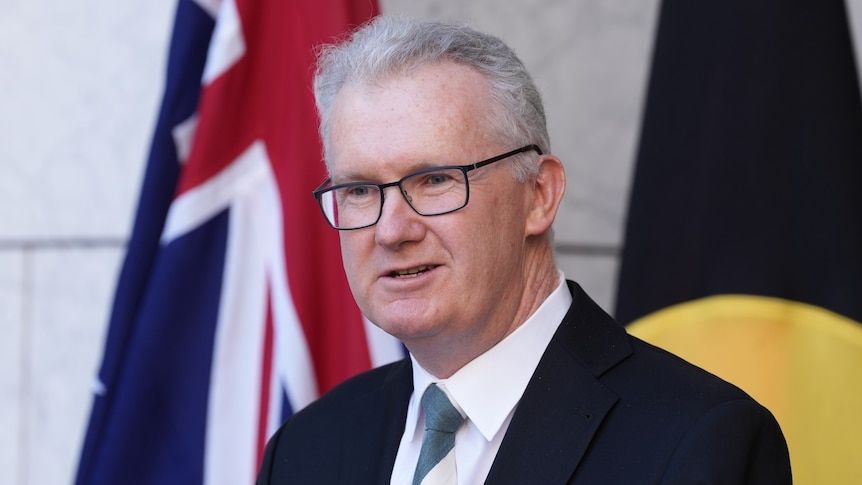 Australian home affairs minister Tony Burke