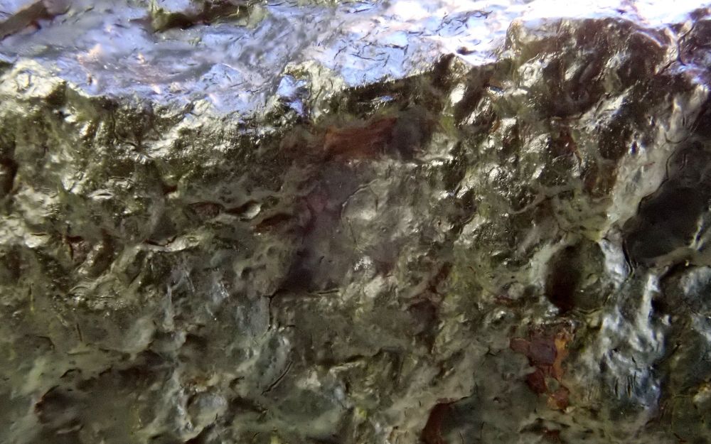 A close up view of a piece of rock coated with Wahlenbergiella mucosa. The lichen is black on the top, horizontal surface where it receives much sunlight, but dark green on the vertical surface which is shaded from the sun.

Little detail can be seen in the lichen, which forms a smooth, shiny coating on the rock. The lichen reproduces by means of fungal spores, produced in perithecia. These are immersed within the lichen and do not protrude from it. Sometimes the tops of the perithecia may be visible as a series of small black dots, though I cannot see any in this photo from the east coast of Rona.
