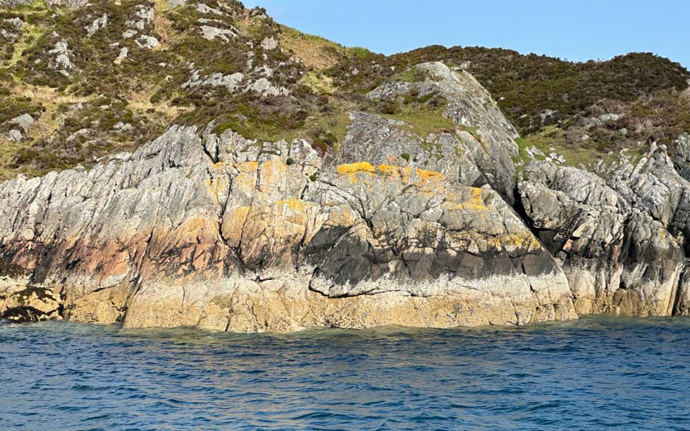 Blue sea at the bottom, below steep coastal rocks, then a rough grass and heather hillside, with blue sky at the top.

Some of the colours on the rocks are the lichens growing on them. A black zone is usually found on rocky coasts, just above the high water mark. This is not a deposit of spilt oil, but a black lichen growing on the rock.

Above the black is usually an orange zone. A number of orange lichens grow there, able to  cope with salt water splashing them, but not as well as the black lichens.

The orange zone grades into a grey zone, of lichens able to cope with sea spray but not direct regular splashing. The grey zone then slowly grades into lichens usually found on inland rocks. The sea may still influence the lichen flora for a mile or more away from the coast.

Below the black zone is the barnacle zone where the rocks are submerged twice a day. Other lichens may sometimes be found between the high water and low water marks. No lichens grow below the low water mark, where rocks are permanently submerged in the sea.

In this post we look at a couple of lichens found in the lowest, the intertidal zone.