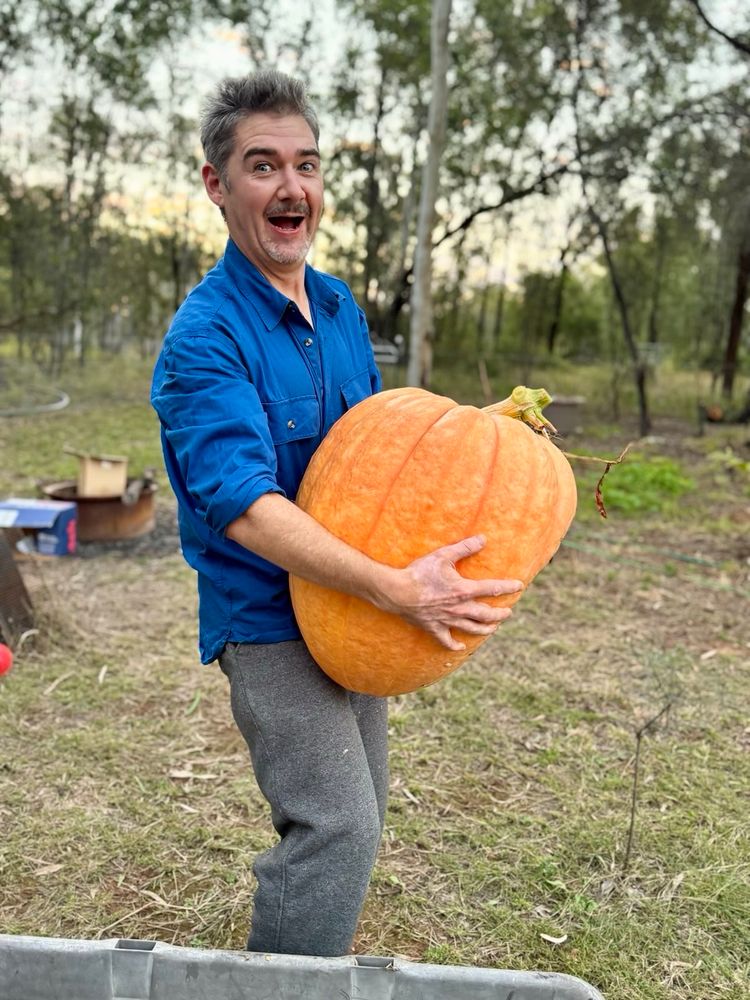 A giant pumpkin grown in central Queensland in Australia 