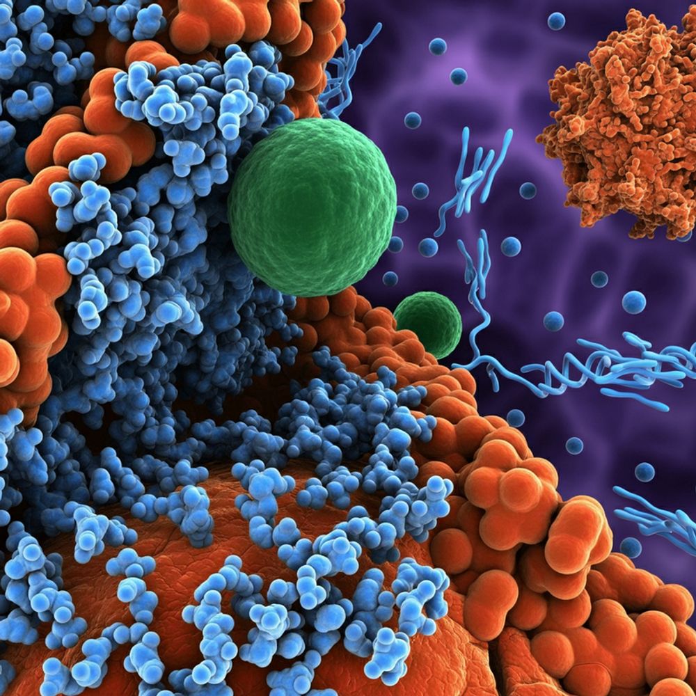 RNAi: O que é Ácido Ribonucleico Interferente?