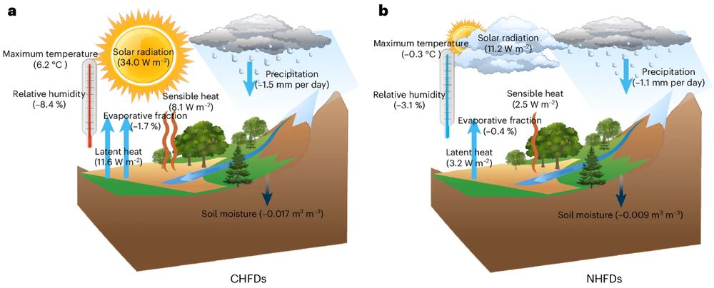 Schematic illustrations of the onset mechanisms of compound heat flash droughts and non-heat flash droughts
