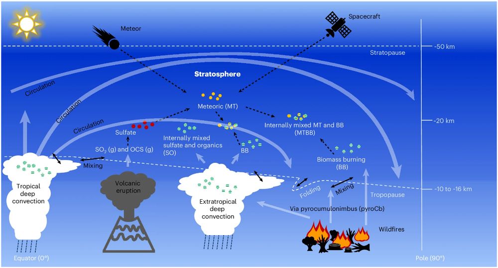 Schematic representation of stratospheric dynamics and particles