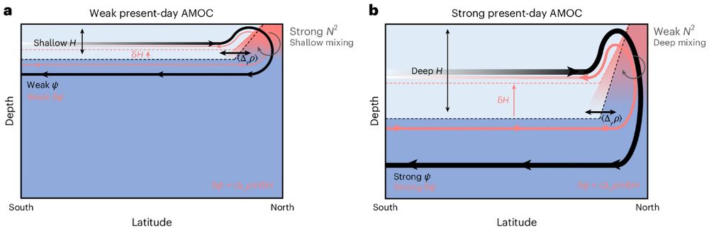 Schematic illustrations depicting the processes linking the present-day and future Atlantic meridional overturning circulation strength