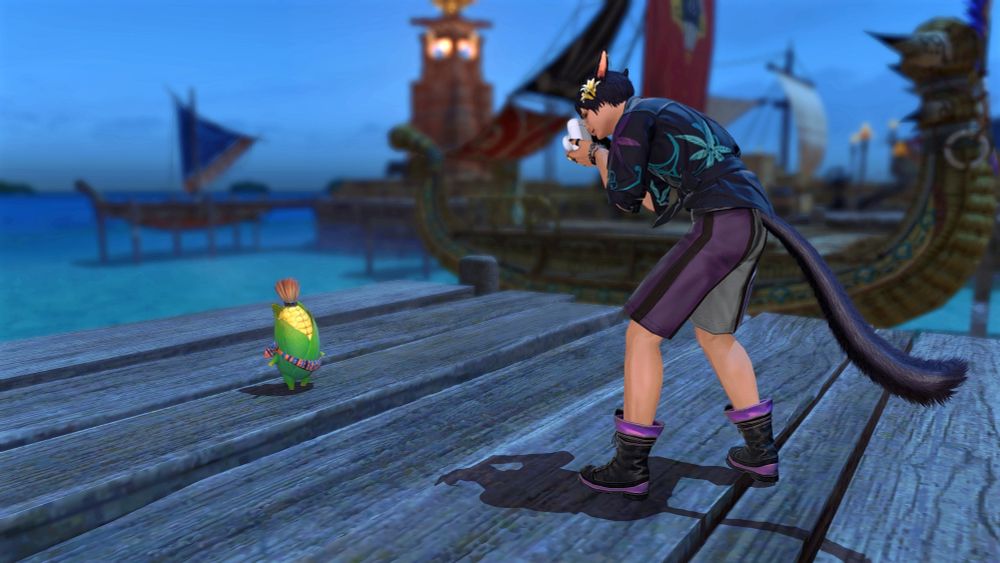 momo taking a photo of the cornservant 