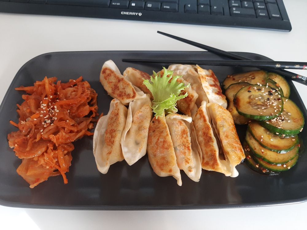 Schwarzer rechteckiger Teller mit schwarzen Essstäbchen oben rechts. Auf dem Teller von links nach rechts: selbstgemachtes Kimchi, Gyozas, koreanischer Gurkensalat.