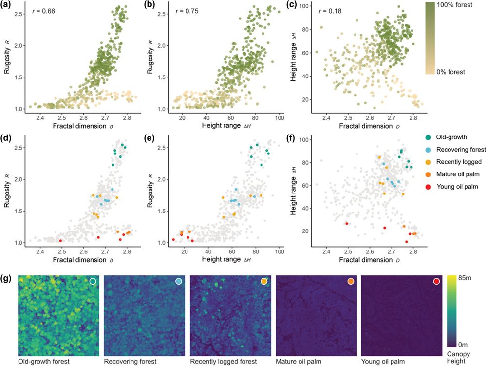 Structural complexity of a tropical forest landscape along a forest disturbance gradient.