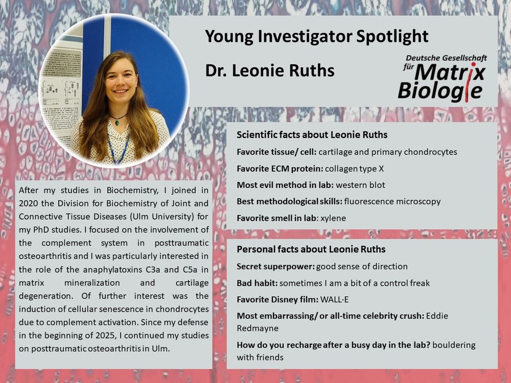 Young Investigator Spotlight of the German Society for Matrix Biology: Dr. Leonie Ruths. 
After my studies in Biochemistry, I joined in 2020 the Division for Biochemistry of Joint and Connective Tissue Diseases (Ulm University) for my PhD studies. I focused on the involvement of the complement system in posttraumatic osteoarthritis and I was particularly interested in the role of the anaphylatoxins C3a and C5a in matrix mineralization and cartilage degeneration. Of further interest was the induction of cellular senescence in chondrocytes due to complement activation. Since my defense in the beginning of 2025, I continued my studies on posttraumatic osteoarthritis in Ulm.

Scientific facts about Leonie Ruths:
Favorite tissue/ cell: cartilage and primary chondrocytes.
Favorite ECM protein: collagen type X.
Most evil method in lab: western blot.
Best methodological skills: fluorescence microscopy.
Favorite smell in lab: xylene.

Personal facts about Leonie Ruths:
Secret superpower: good sense of direction.
Bad habit: sometimes I am a bit of a control freak.
Favorite Disney film: WALL·E.
Most embarrassing/ or all-time celebrity crush: Eddie Redmayne.
How do you recharge after a busy day in the lab? bouldering with friends.

