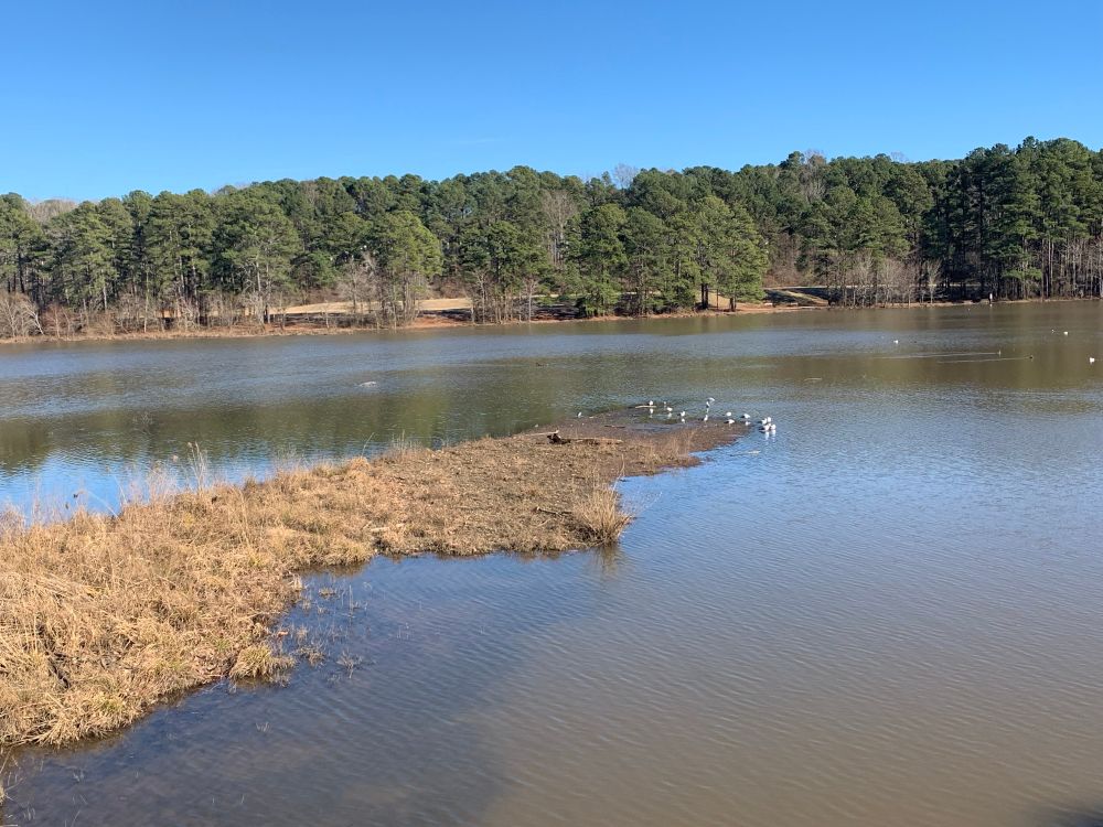Shelley Lake trail. Picture of lake and blue sky.