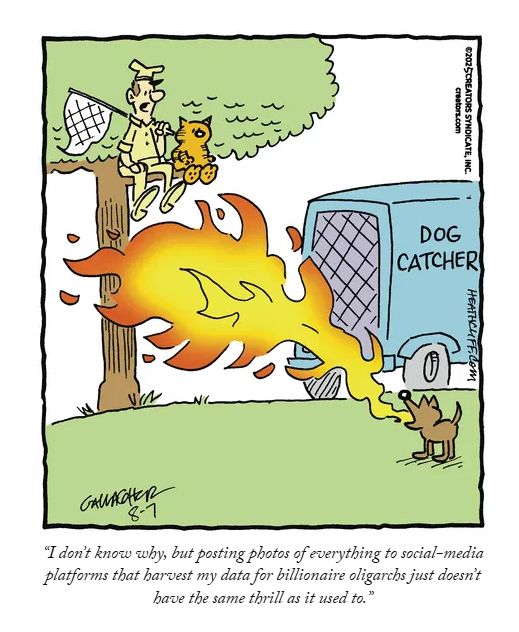 Heathcliff Panel:
Heathcliff and a dog catcher are stuck in a tree trapped by a fire-breathing chihuahua. The dog catcher says "I don't know why, but posting photos of everything to social-media platforms that harvest my data for billionaire oligarchs just doesn't have the same thrill as it used to."