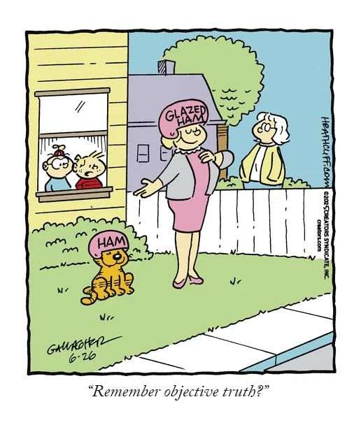 Heathcliff Panel:
Heathcliff and Grandma Nutmeg are standing in the yard. Heathcliff is wearing his ham helmet, Grandma Nutmeg is wearing a glazed ham helmet. Iggy, Willy, and the neighbor are watching. Iggy asks "Remember objective Truth?"