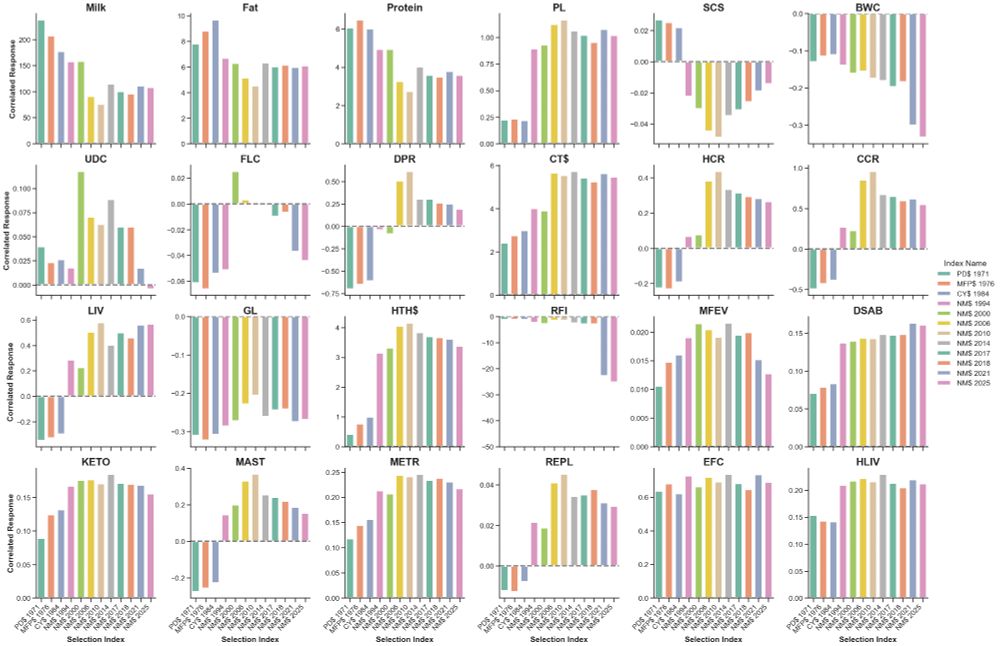 A 6-by-4 graphic showing the correlated responses of selection for 24 traits and trait composites to 12 different indices. The traits are:  Row 1: Milk, Fat, Protein, Productive Life, Somatic Cell Score, and Body Weight Composite; Row 2: Udder Composite, Foot and Leg Composite, Daughter Pregnancy Rate, Calving Trait $, Heifer Conception Rate, and Cow Conception Rate; Row 3: Livability, Gestation Length, Health $, Residual Feed Intake, Milk Fever, and Displaced Abomasum; and Row 4: Ketosis, Mastitis, Metritis, Retained Placenta, Early First Calving, and Heifer Livability. The indices compared are Predicted Difference $ (1971), Milk-Fat-Protein $ (1976), Cheese Yield $ (1984), Lifetime Net Merit (NM$) 1994, NM$ 2000, NM$ 2006, NM$ 2010, NM$ 2014, NM$ 2017, NM$ 2018, NM$ 2021, and NM$ 2025. Over time, the weight on production traits (milk, fat, and protein) has decreased and more weight has been placed on fertility, longevity, and health traits. This has resulted in slower but still favorable trends for yield, with dramatically improving trends for non-production traits. NM$ 2021 and 2025 place considerable negative emphasis on residual feed intake and body weight composite while maintaining favorable trends for other traits. The goal is to produce efficient, healthy, long-lived cows that are profitable.