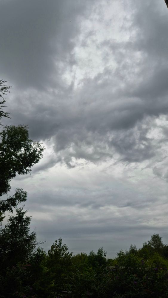 Dark clouds swirling above some trees