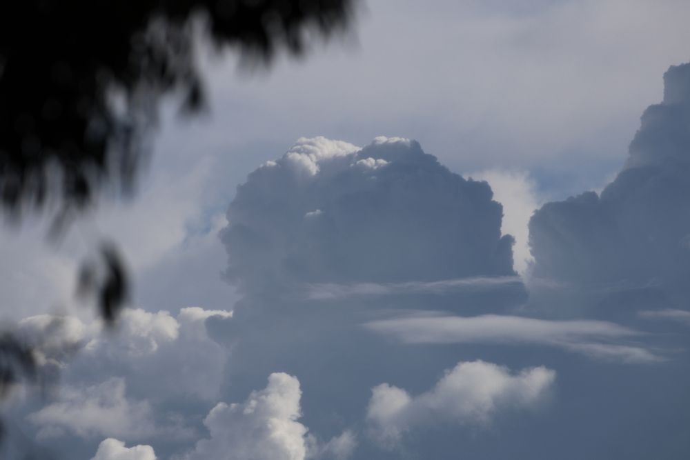 Heavy clouds with unfocused trees in the foreground 
