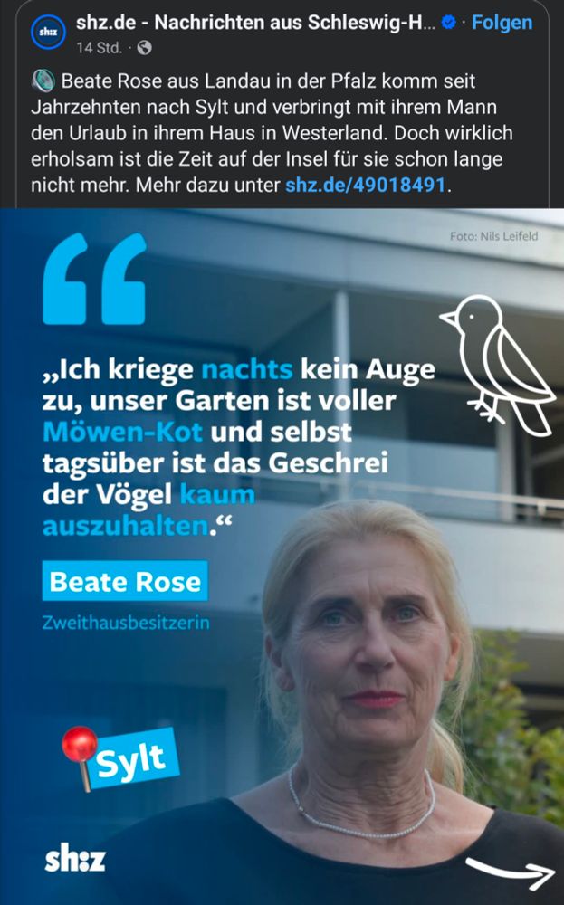 Schlagzeile von shz:
🔊 Beate Rose aus Landau in der Pfalz komm seit Jahrzehnten nach Sylt und verbringt mit ihrem Mann den Urlaub in ihrem Haus in Westerland. Doch wirklich erholsam ist die Zeit auf der Insel für sie schon lange nicht mehr. Mehr dazu unter shz.de/49018491.
