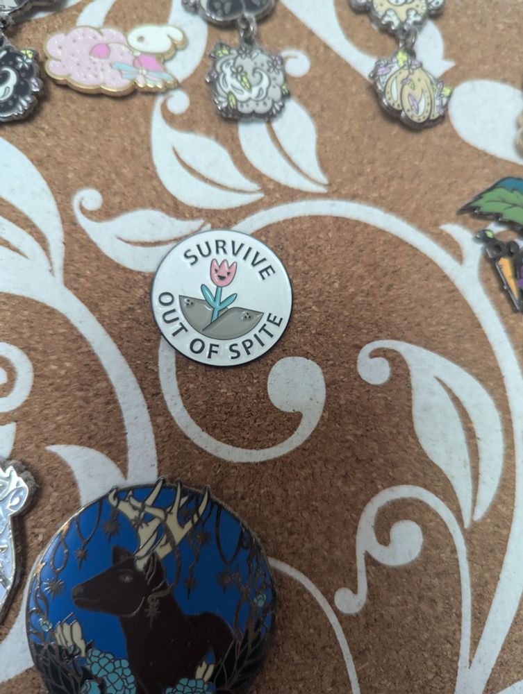 Corkboard with enamel pins. Pin in the middle shows a flower growing out of a crack in a sidewalk with the words "Survive Out Of Spite".