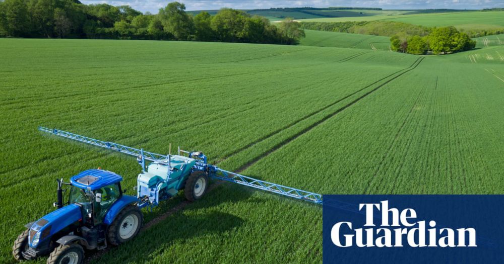 Revealed: Far higher pesticide residues allowed on food since Brexit