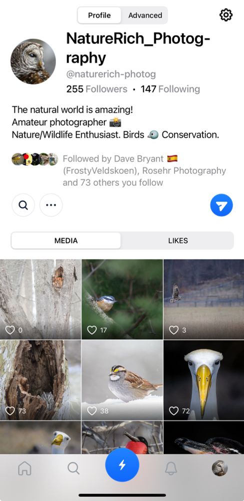 Comment image