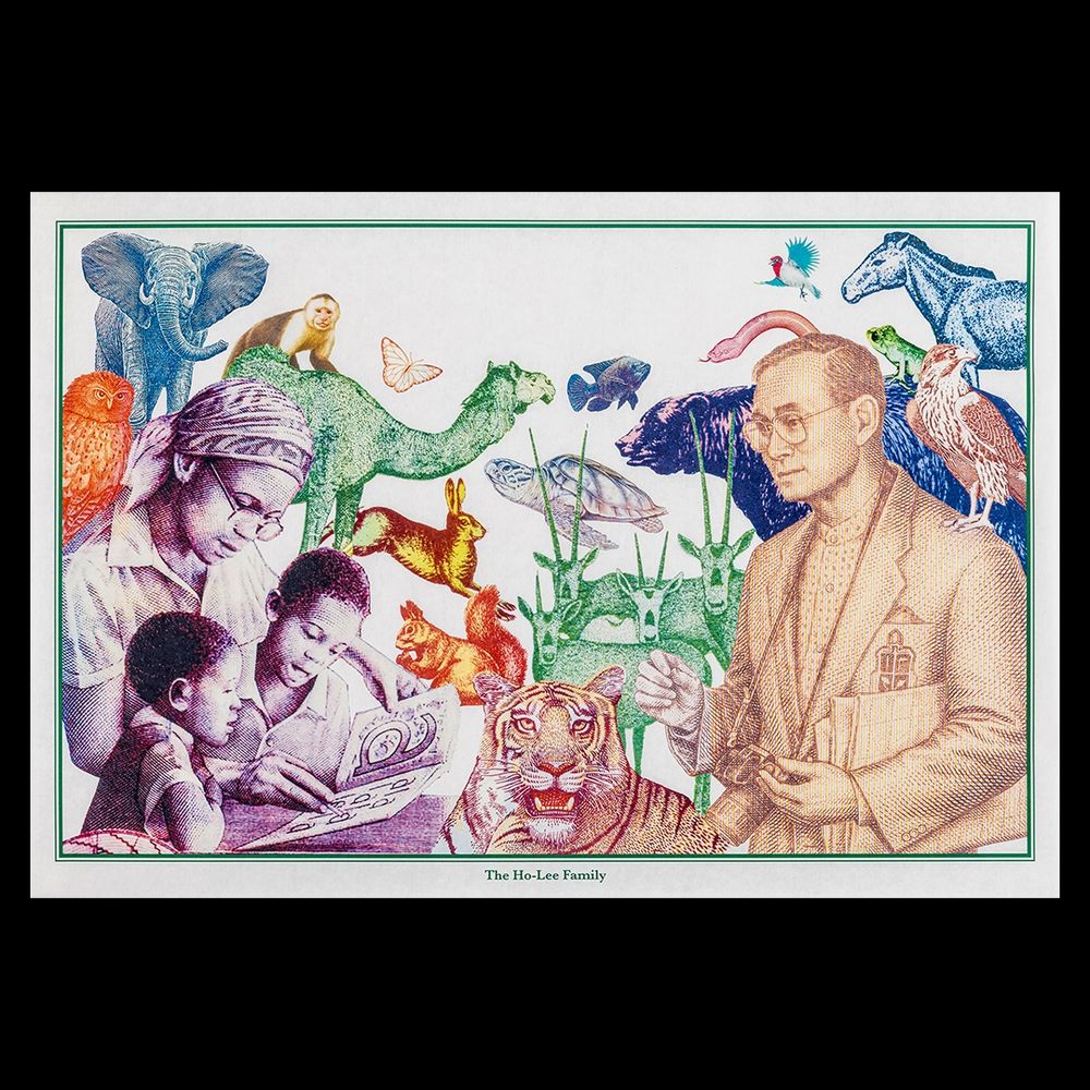 Impression, collage, images d'animaux et d'enfants tirées de billets de banque. 