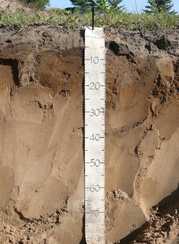 A measuring tape marked off in centimeters showing grass on top of a smooth face of a soil pit. Darker soil is at the top of the soil pit; the soil gets lighter the further down.