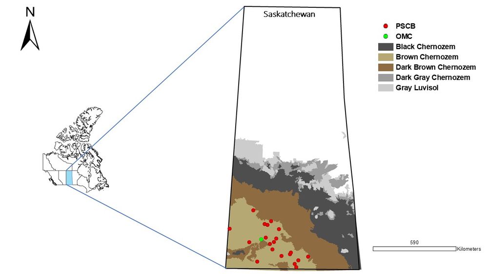 Location of the 20 commercial producer fields across the Brown Chernozem Soil Zone from the Prairie Soil Carbon Balance project with respect to the long-term agroecosystem experiment (0MC study) in Swift Current, Saskatchewan, Canada. The boundaries of the Saskatchewan map were extracted from the Canada_Provinical_boundaries_generalized polygon from the ArcGIS feature services online with ArcMap version 10.8.2. The coordinate system GCS_WGS_1984 was used for the geoprocessing of GPS soil sampling point-coordinates and the linear units was in meters. ArcMap version 10.8.2 was used to generate the map of the study area. 
