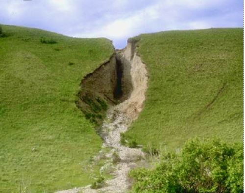 A large hill with a gully - hole - in the middle of it, where soil has eroded. On each side is green grassy material