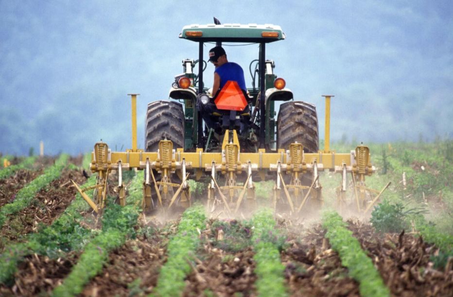 Man driving a tractor in a field